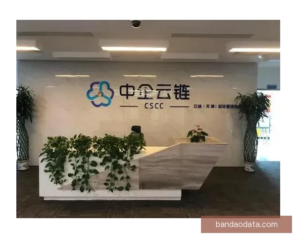 开云APP创新功能全解析，提升购物体验与个性化推荐服务